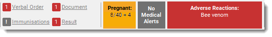 Patient banner with pregnancy indication