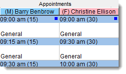 Example appointment book showing blank appointment slots of different lengths for two different providers